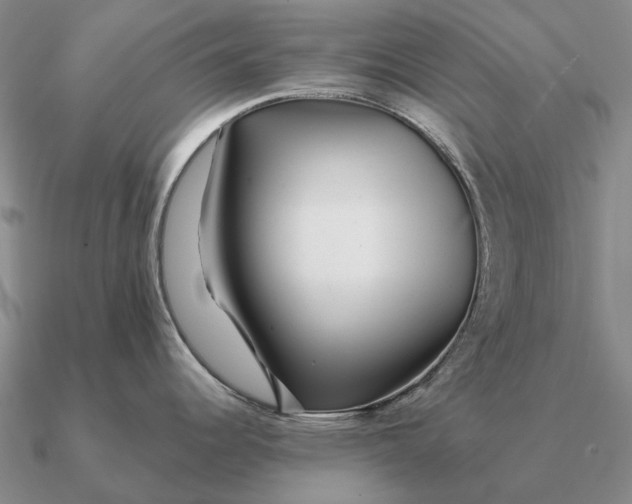 X0000090611344200708071156