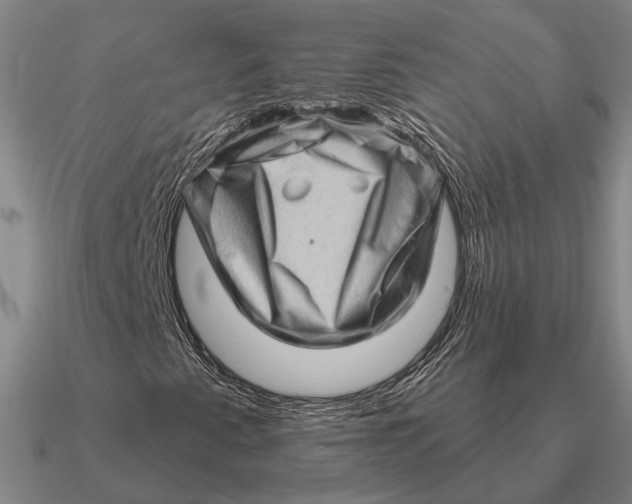 X0000090611345200708071155