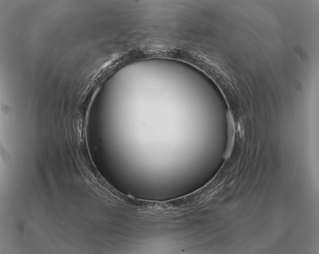 X0000090611348200708071155