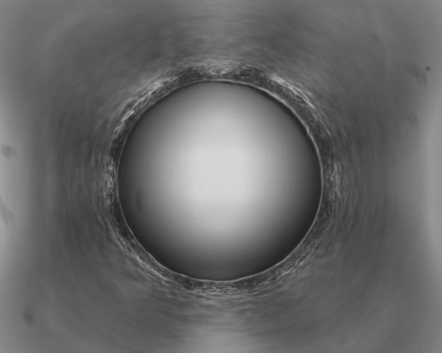 X0000090611349200708071155