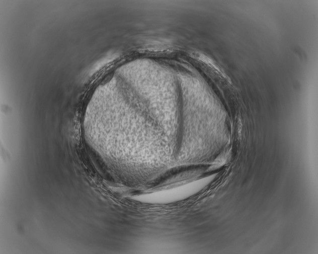 X0000090611350200708071155