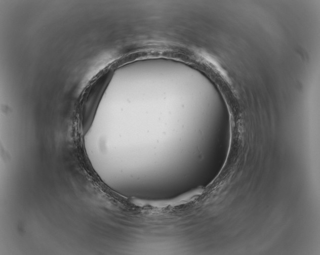 X0000090611352200708071155