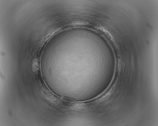 X0000090611353200708071155