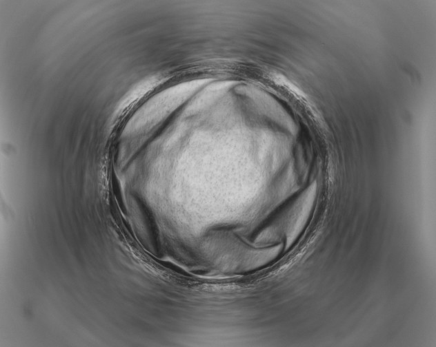 X0000090611354200708071155