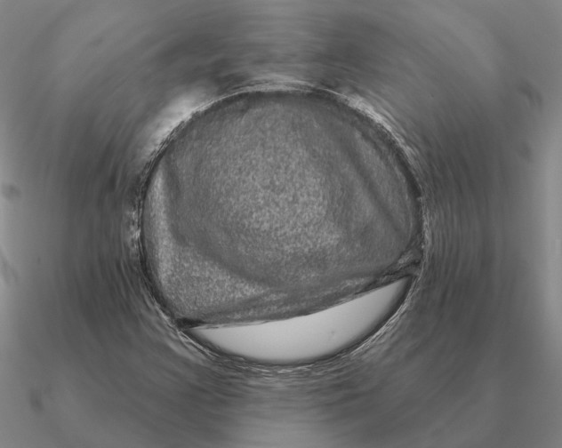 X0000090611355200708071155