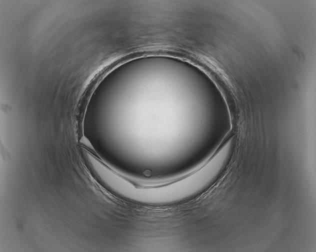 X0000090611356200708071155