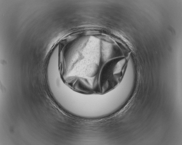 X0000090611357200708071155