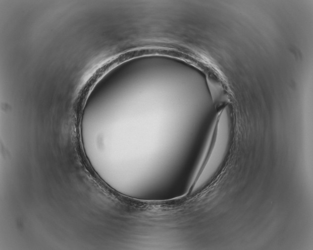 X0000090611360200708071155