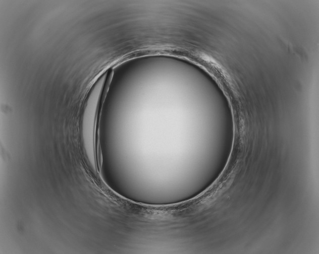 X0000090611361200708071155