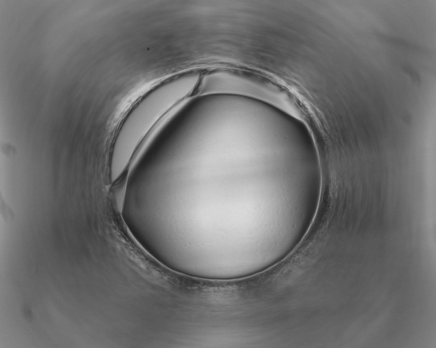 X0000090611363200708071155