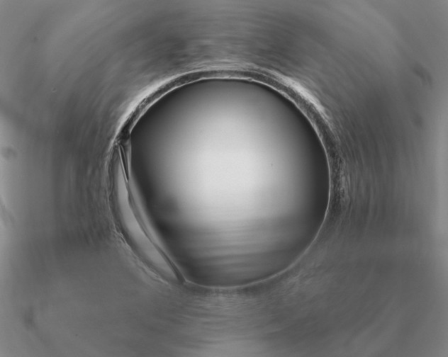 X0000090611364200708071155