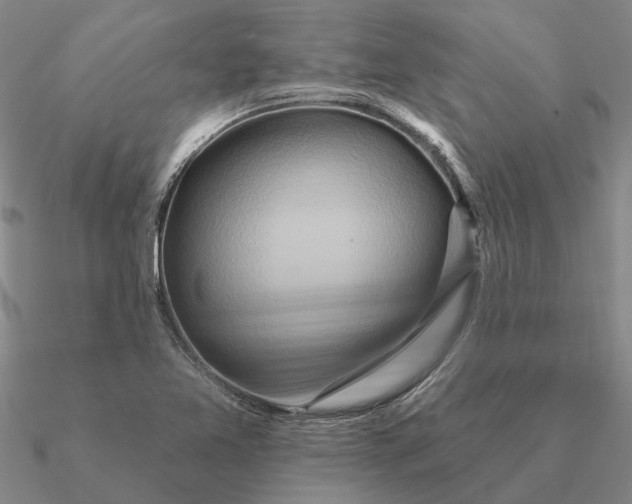 X0000090611365200708071155