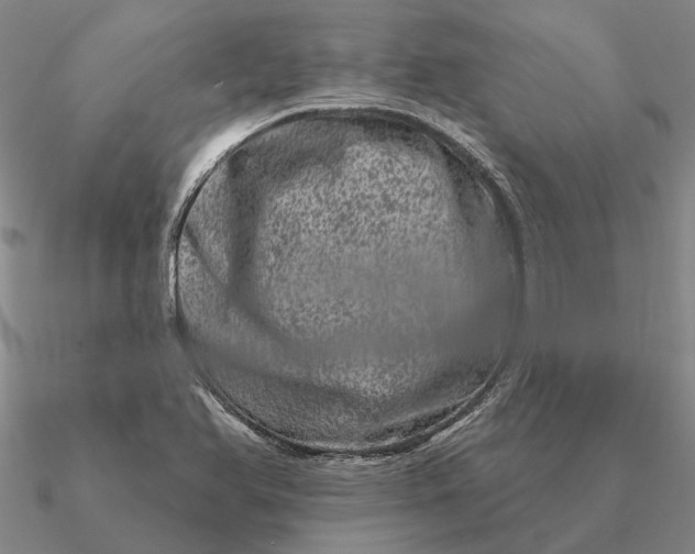 X0000090611366200708071155