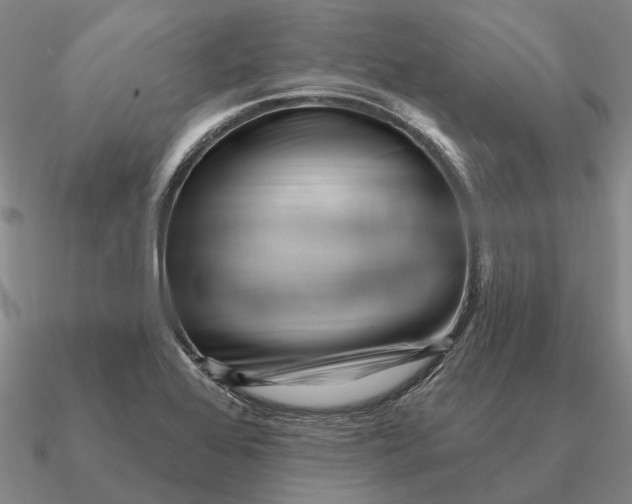 X0000090611368200708071155