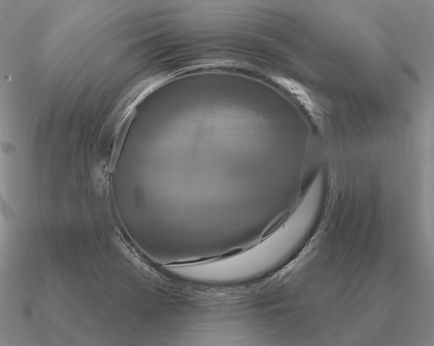 X0000090611369200708071155