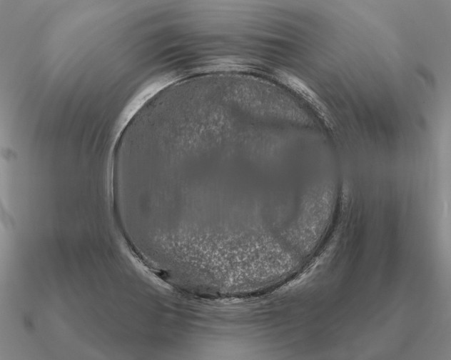 X0000090611370200708071155