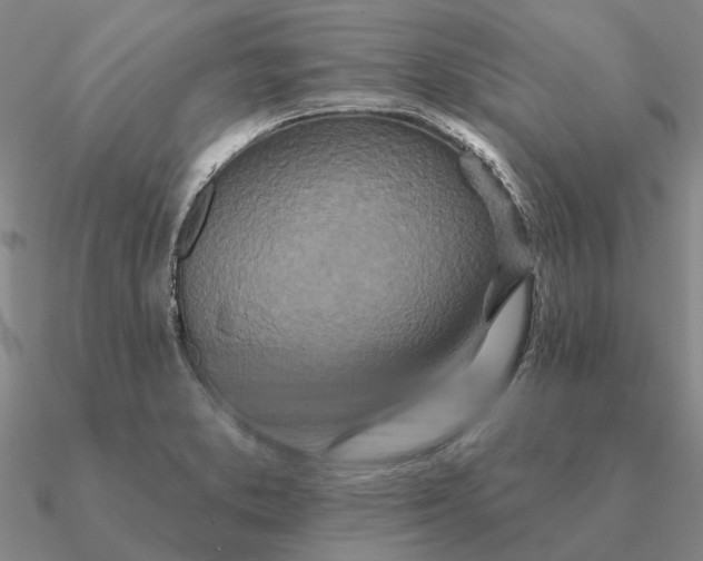 X0000090611373200708071155