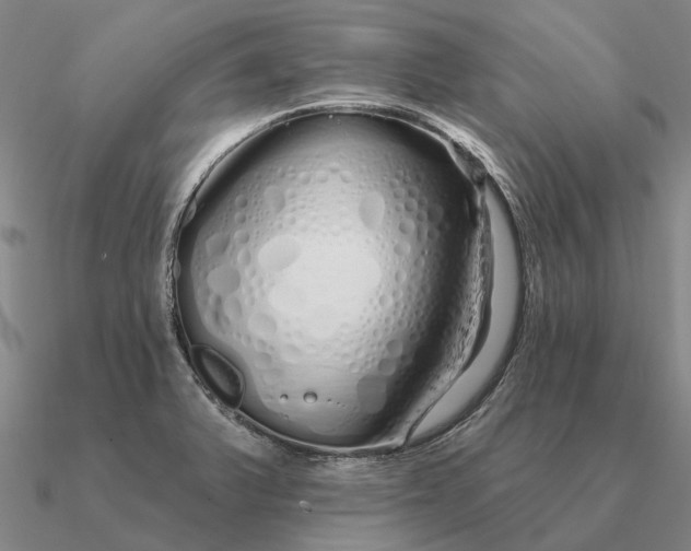 X0000090611375200708071155