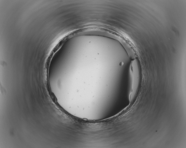 X0000090611376200708071155