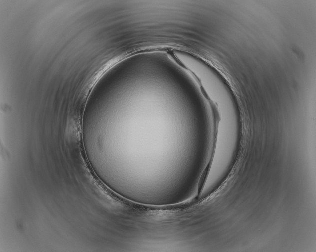 X0000090611377200708071154