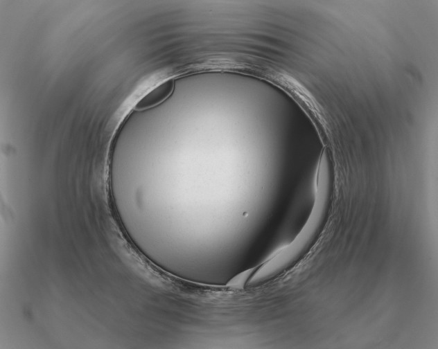 X0000090611378200708071154