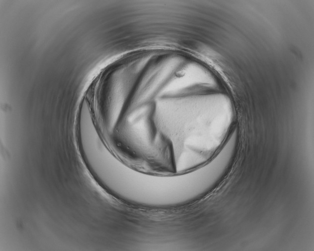 X0000090611379200708071154