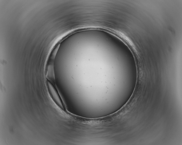 X0000090611380200708071154