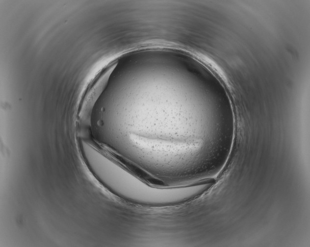 X0000090611381200708071154