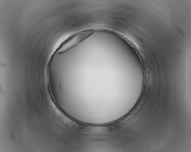 X0000090611382200708071154