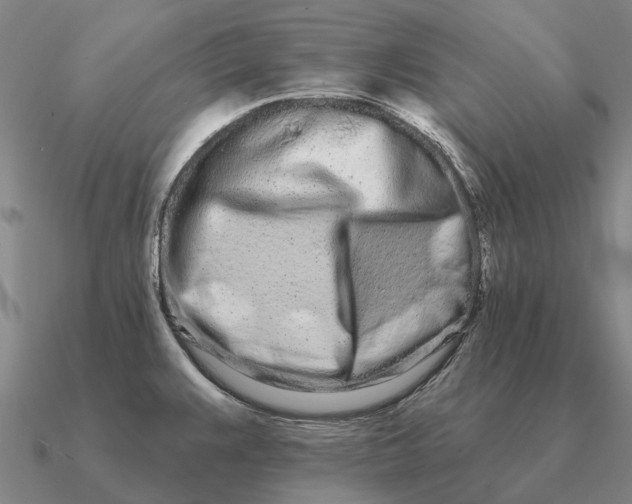 X0000090611383200708071154