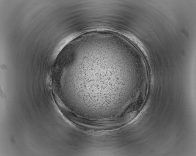 X0000090611385200708071154