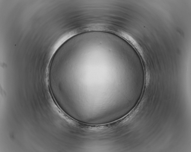 X0000090611386200708071154