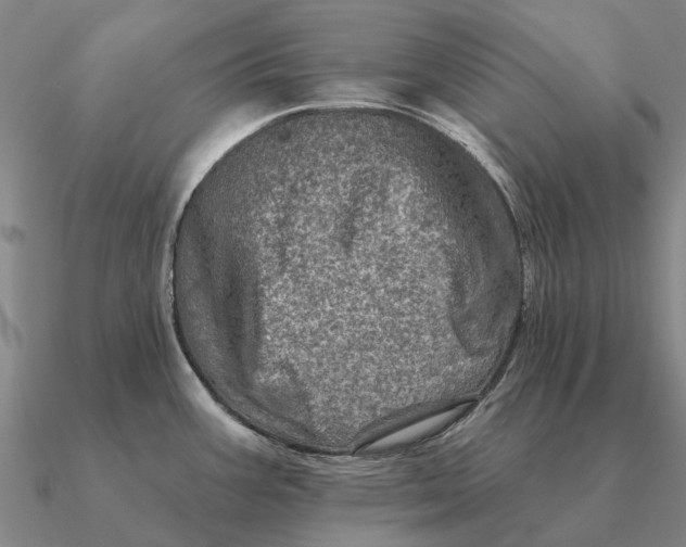 X0000090611387200708071154