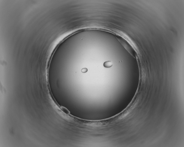 X0000090611388200708071154