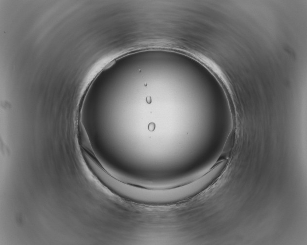 X0000090611389200708071154