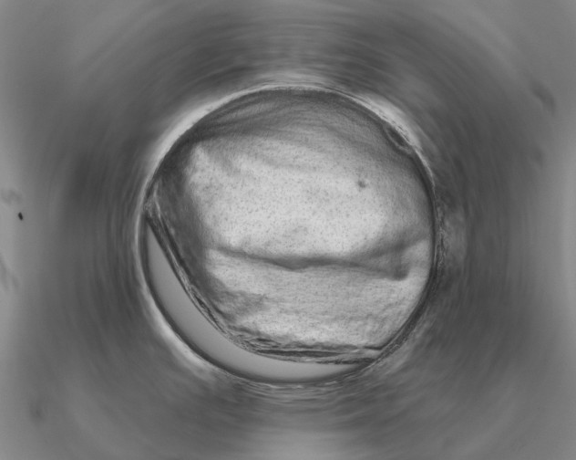 X0000090611391200708071154