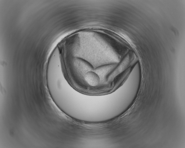 X0000090611392200708071154