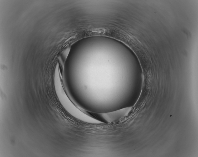 X0000090611394200708071154