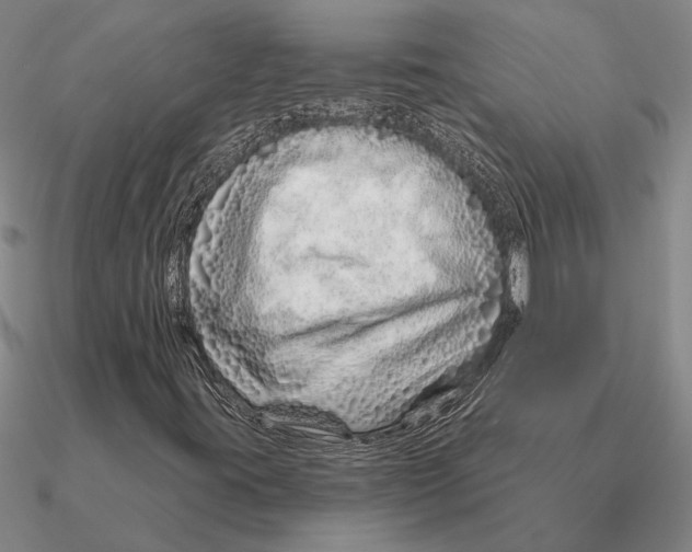 X0000090611395200708071154