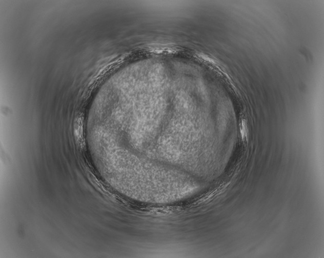 X0000090611396200708071154