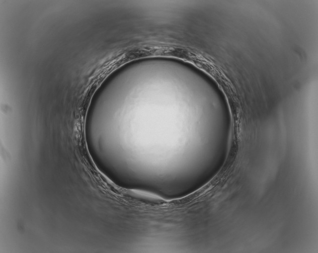 X0000090611397200708071154