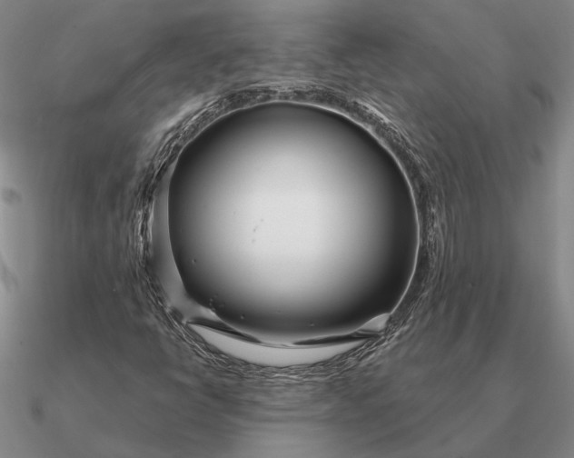 X0000090611398200708071154