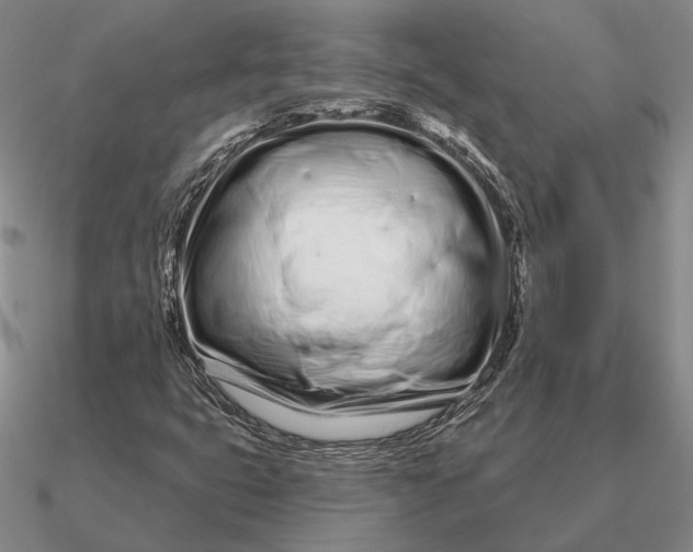 X0000090611399200708071154