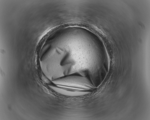 X0000090611400200708071154