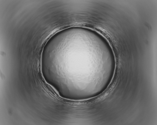 X0000090611401200708071154