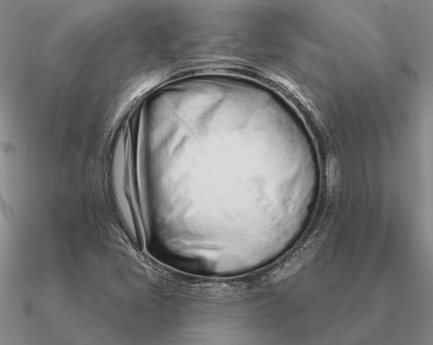 X0000090611405200708071154