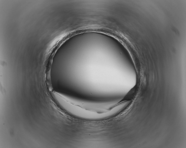 X0000090611406200708071154