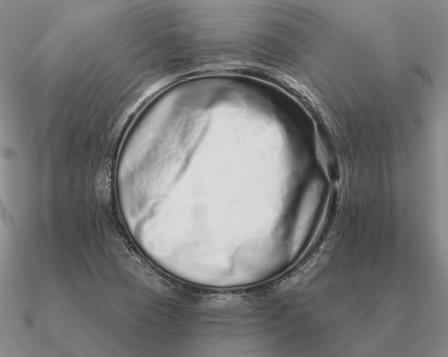 X0000090611409200708071154