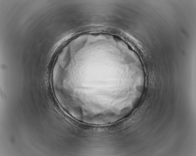 X0000090611411200708071154