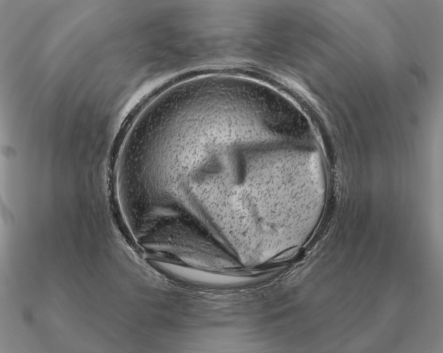 X0000090611412200708071154